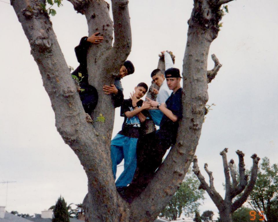 Photo Set 3, photograph 82